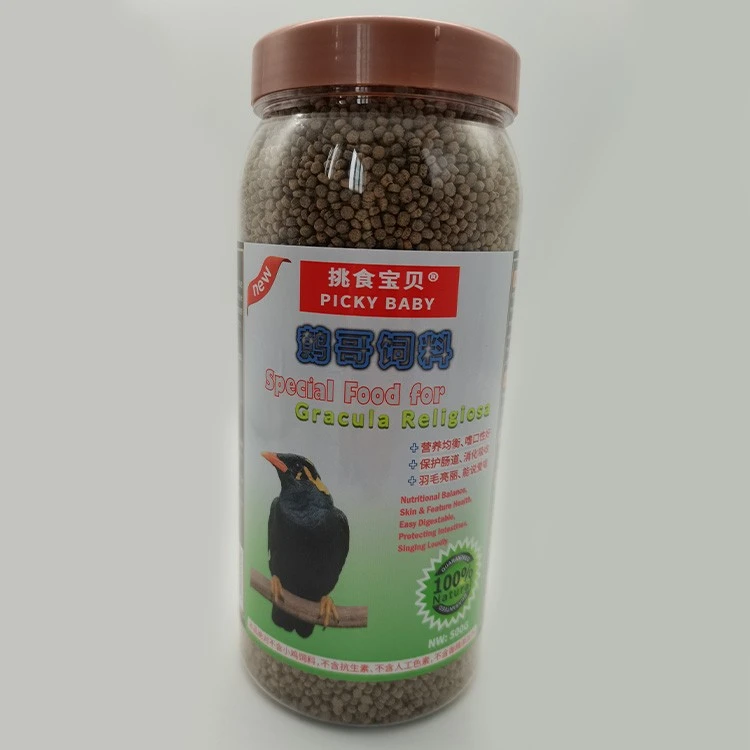 Alimentation des oiseaux religiosal Gracula de haute qualité