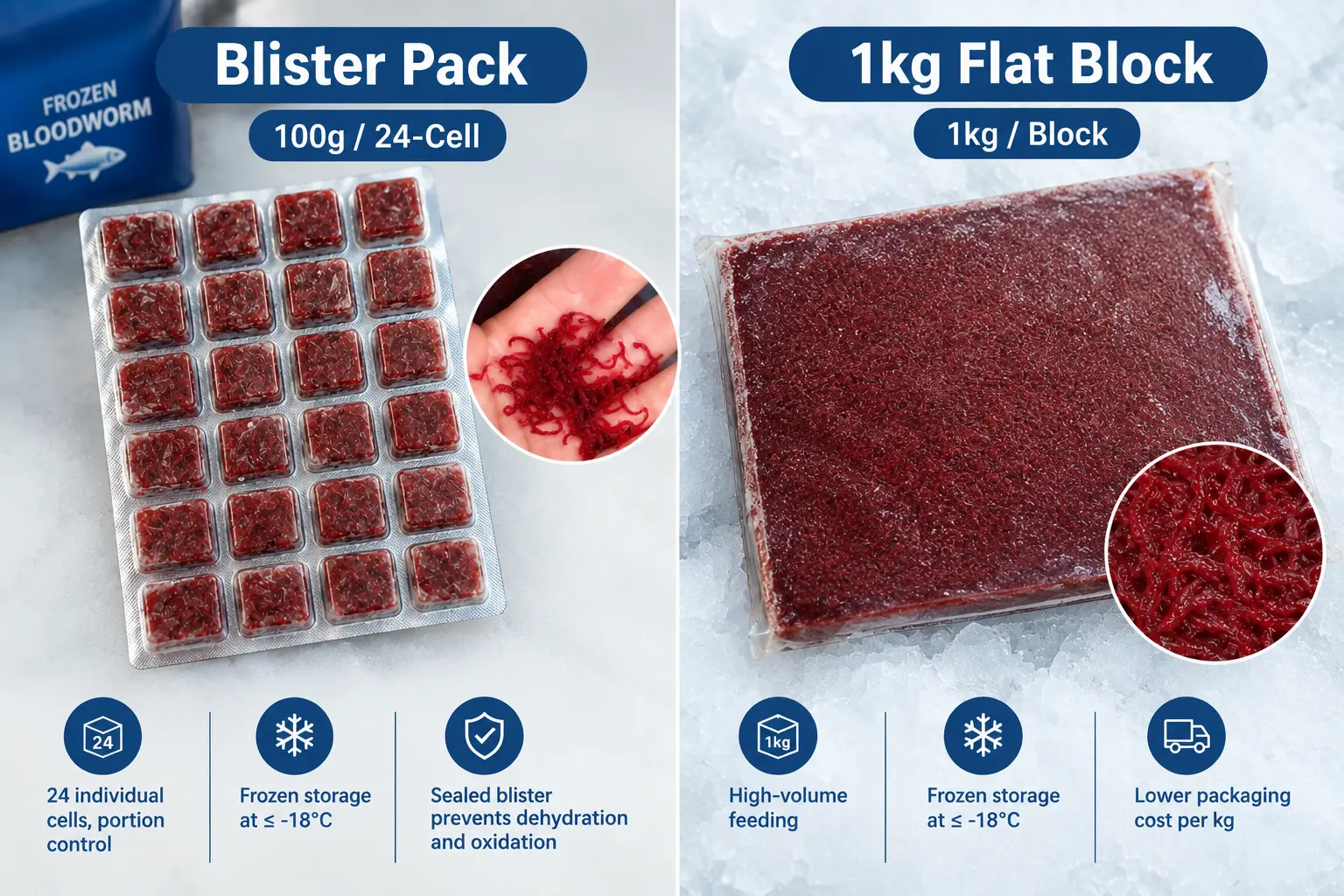 Vers de vase congelés : emballage blister contre . 1 kg d'emballage en bloc plat